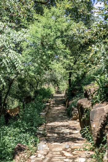Adere Safari Lodge: Weg durchs Gelände