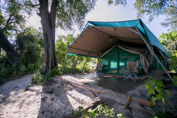 Bushman Plains Camp: Vordach und Terrasse