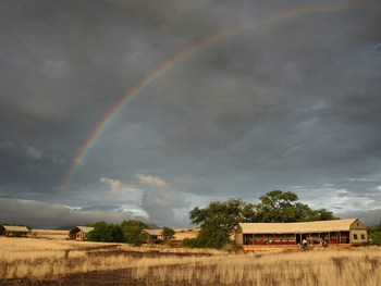 Desert Rhino Camp Desert Rhino Camp: Regenbogen