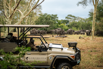 Gorongosa Safaris: Game Drive mit Elefanten