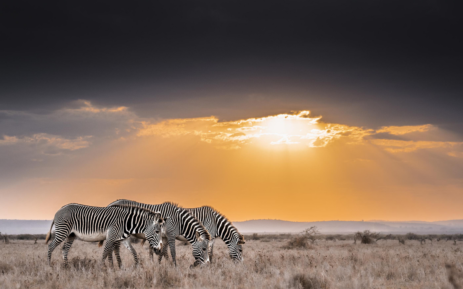 Governors' Mugie Governors' Mugie