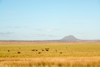 Kuro Tarangire Camp: Blick auf Mount Lolkisale