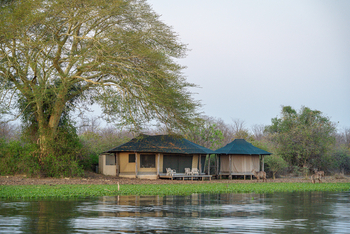 Kuthengo Camp: Familieneinheit