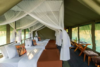 Little Moru Camp: Im Familienzelt