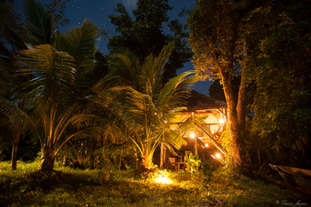 Masoala Forest Lodge: Palmen vor Hütte