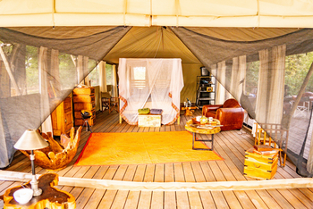 Painted Dogs Lagoon Camp: Doppelbett mit Moskitonetz