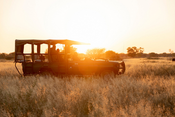 Planet Baobab: Aktivitäten
