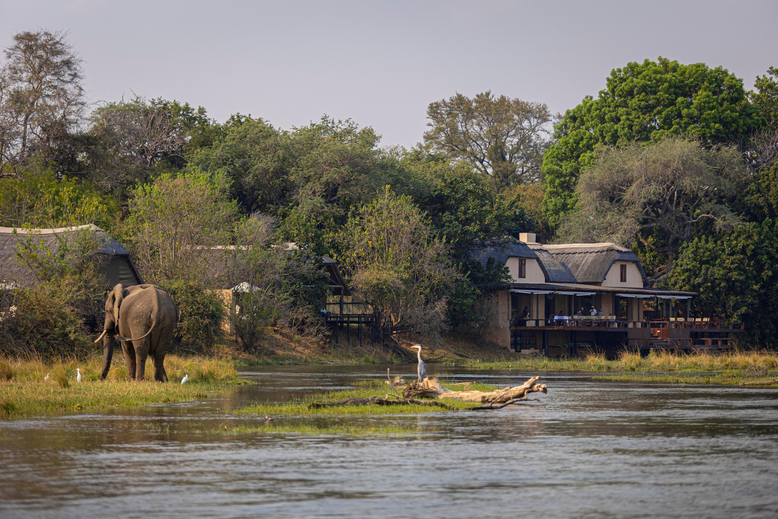 Royal Zambezi Lodge Royal Zambezi Lodge: Hauptbereich am Fluss
