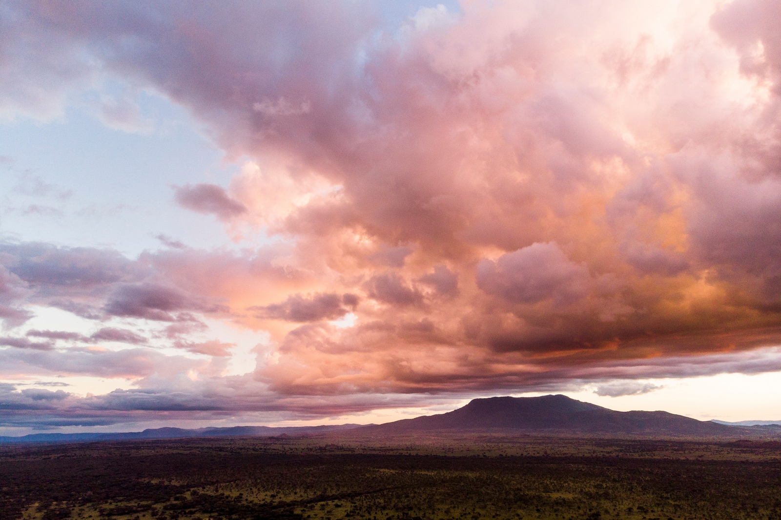 Sanctuary Swala Sanctuary Swala