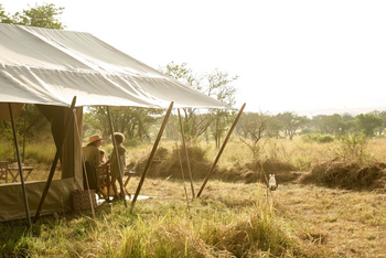 Serengeti Safari Camp: Gästezelt mit Vordach
