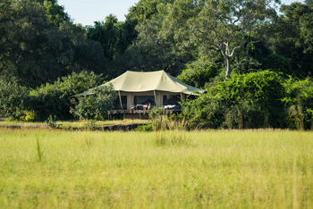 The Zanji Suite at Tembo Plains: Zelt im Grünen frontal