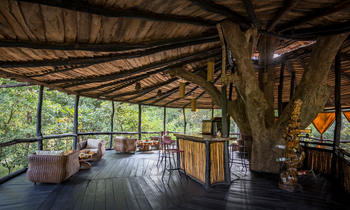 Treehouse Hideaway: Bar und Sitzgruppen
