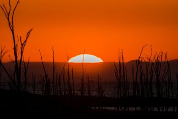 Changa Safari Camp: Sonnenaufgang