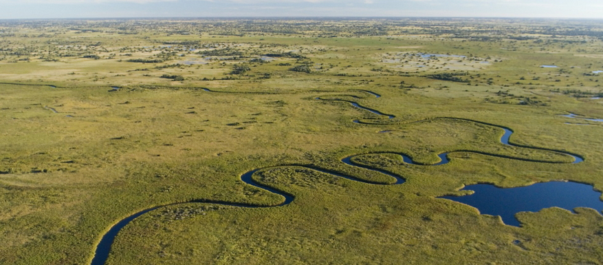 Duba Plains Camp