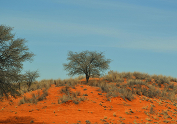 Kalahari Farmhouse: Kameldorn