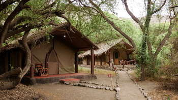 Lake Natron Tented Camp: Rustikale Zelte mit Holzveranda im Grünen