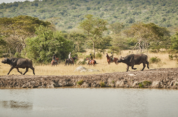 Mihingo Lodge: Reiten