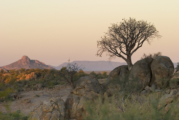 Ondudu Safari Lodge Ondudu Safari Lodge: Spätes Licht
