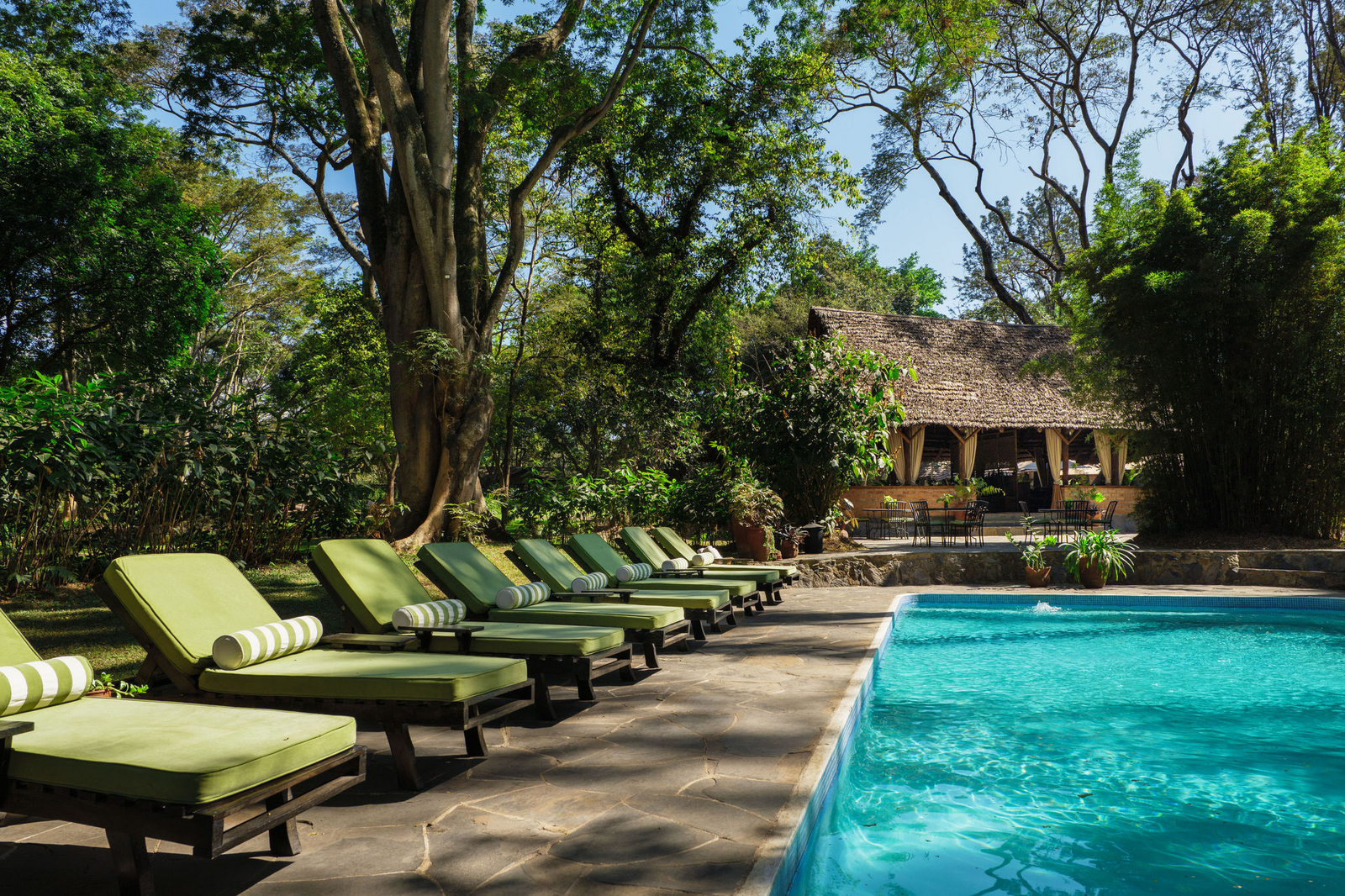 Rivertrees Country Inn Rivertrees Country Inn: Poolbereich