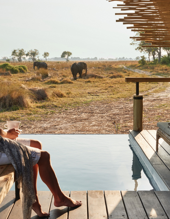 Belmond Eagle Island Lodge: Private Plunge Pool