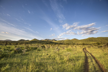 Campi ya Kanzi: Piste durch de Hügel