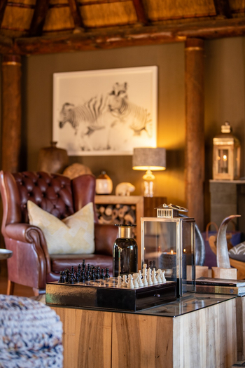 Hoodia Desert Lodge: Ledersessel