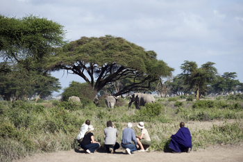 Kambi ya Tembo: Walking Safari