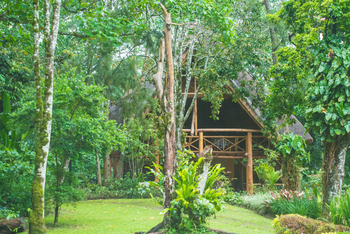 Kibale Forest Camp: Garten