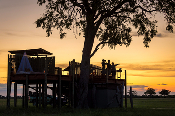 Linkwasha Camp Linkwasha Camp: Sleep-out Deck