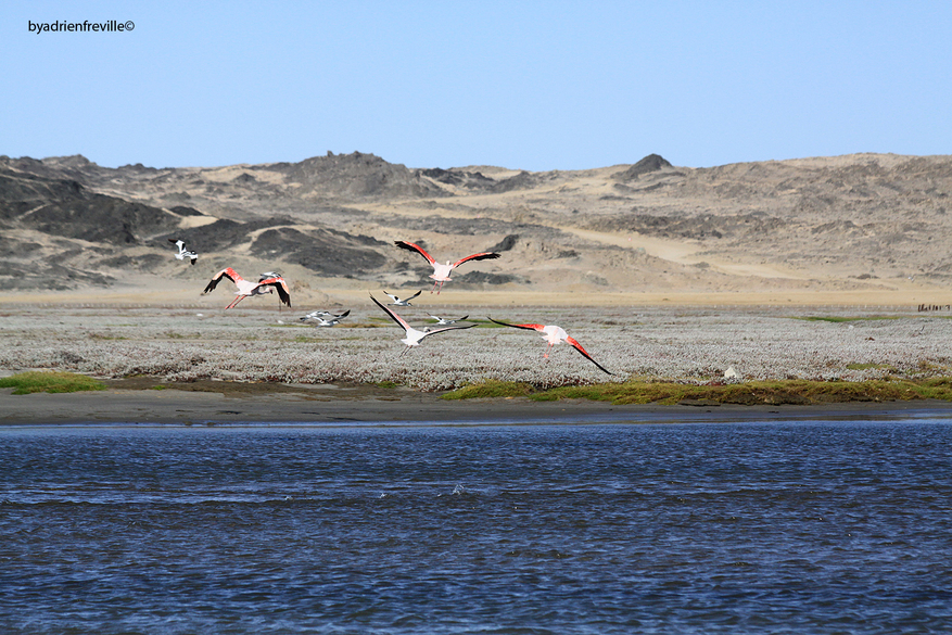 Lüderitz Nest Hotel