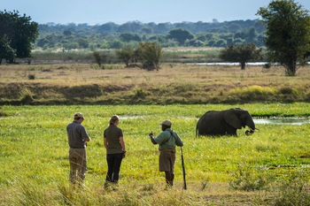 Ruckomechi Camp: Elefant vor Menschen