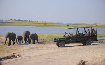 andBeyond Chobe under Canvas: Begegnung mit Elefanten