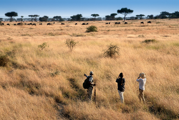 andBeyond Grumeti Serengeti River Lodge: Guided Nature Walk