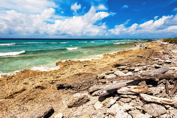 Astove Coral House: Landschaft