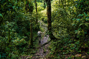 Buhoma Lodge: Gorilla Tracker