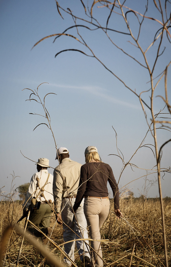 Chada Katavi Camp: Geführte Buschwanderung