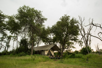 Gomoti Plains Camp: Gästezelte