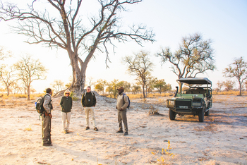 Lebala Camp Lebala Camp: Walking Safari