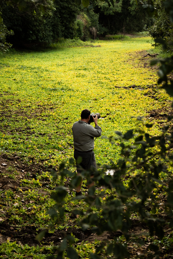 Molori Mashuma: Fotograf am Kariba Weed