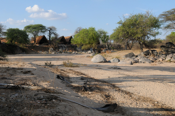 Mwagusi Safari Camp: Bandas am Flussufer
