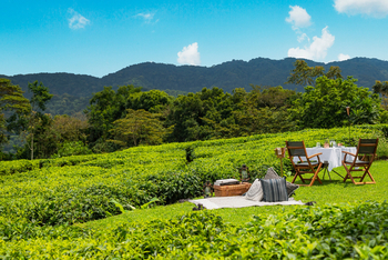 One and Only Nyungwe House: Picknick