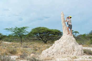 Onguma Reserve: Kinder