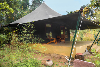 Pench Jungle Camp: Luxury Safari Tent