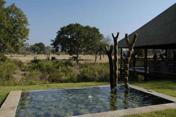 Sabi Sabi Bush Lodge: Gäste beim beobachten neben Wasserinstallation