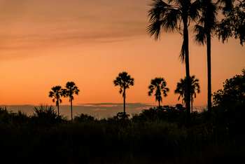 Sanctuary Stanley's Camp: Sonnenuntergang