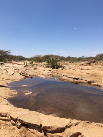 Saruni Rhino Camp: Wasserloch