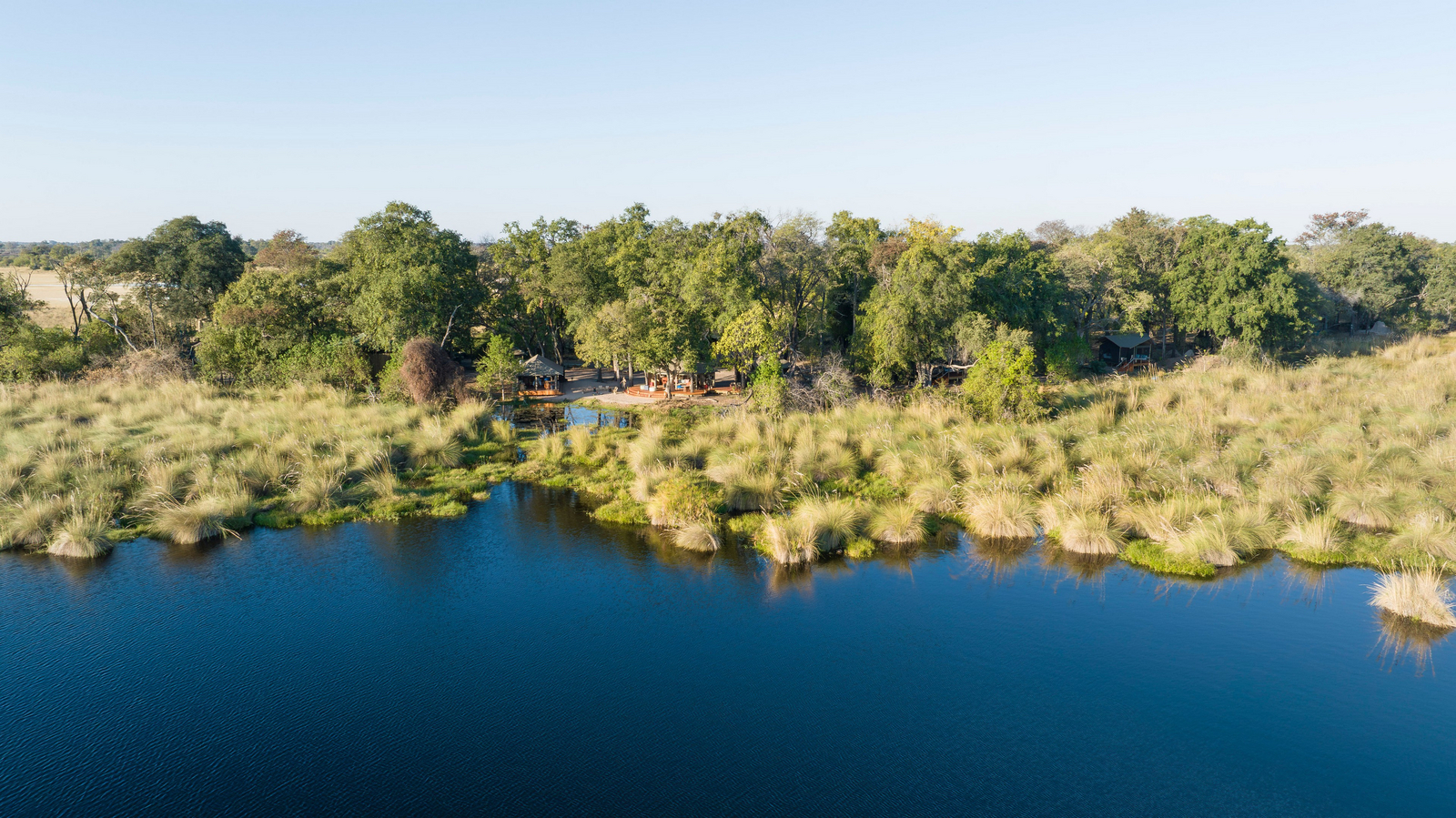 Shinde Footsteps Shinde Footsteps: Camp im Galeriewald