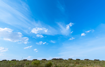 Tau Pan Camp Tau Pan Camp: Camp auf dem Dünenkamm