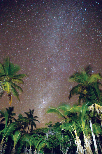 Astove Coral House: Landschaft