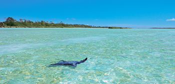 Astove Coral House: Rochen